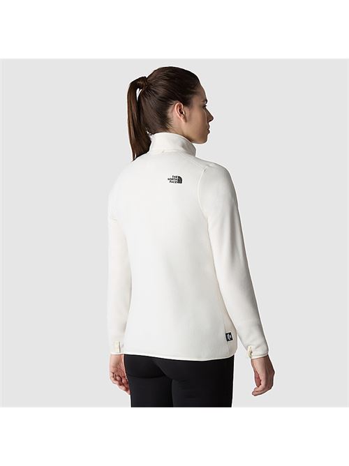 100 glacier fz THE NORTH FACE | NF0A855ON3N1